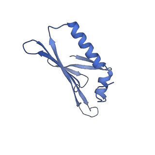 41632_8tux_C2_v1-0
Capsid of mature PP7 virion with 3'end region of PP7 genomic RNA