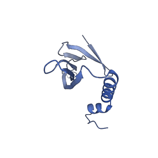 41632_8tux_D2_v1-0
Capsid of mature PP7 virion with 3'end region of PP7 genomic RNA