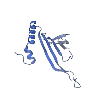 41632_8tux_E1_v1-0
Capsid of mature PP7 virion with 3'end region of PP7 genomic RNA