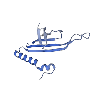 41632_8tux_F1_v1-0
Capsid of mature PP7 virion with 3'end region of PP7 genomic RNA