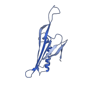 41632_8tux_F2_v1-0
Capsid of mature PP7 virion with 3'end region of PP7 genomic RNA