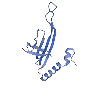 41632_8tux_G1_v1-0
Capsid of mature PP7 virion with 3'end region of PP7 genomic RNA