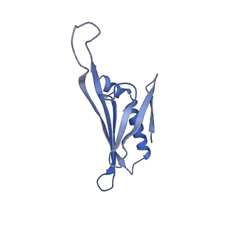 41632_8tux_G2_v1-0
Capsid of mature PP7 virion with 3'end region of PP7 genomic RNA