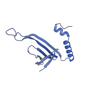 41632_8tux_H1_v1-0
Capsid of mature PP7 virion with 3'end region of PP7 genomic RNA