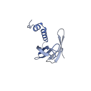 41632_8tux_H2_v1-0
Capsid of mature PP7 virion with 3'end region of PP7 genomic RNA