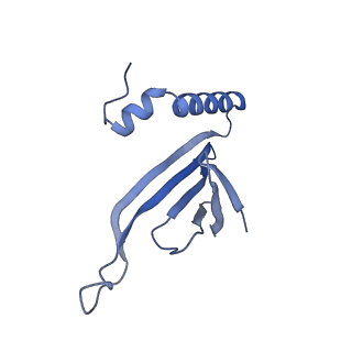 41632_8tux_I1_v1-0
Capsid of mature PP7 virion with 3'end region of PP7 genomic RNA