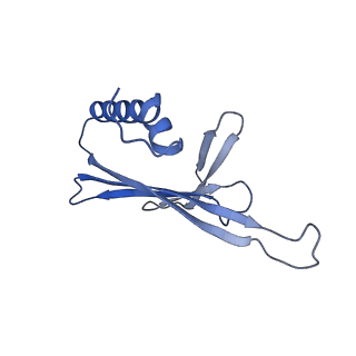 41632_8tux_I2_v1-0
Capsid of mature PP7 virion with 3'end region of PP7 genomic RNA