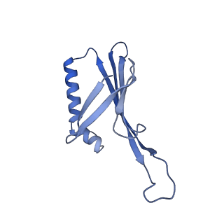 41632_8tux_J1_v1-0
Capsid of mature PP7 virion with 3'end region of PP7 genomic RNA