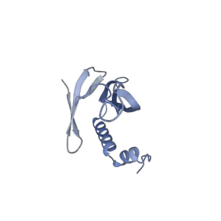 41632_8tux_K1_v1-0
Capsid of mature PP7 virion with 3'end region of PP7 genomic RNA