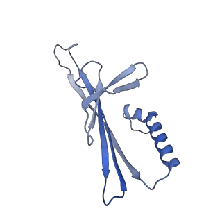 41632_8tux_L2_v1-0
Capsid of mature PP7 virion with 3'end region of PP7 genomic RNA