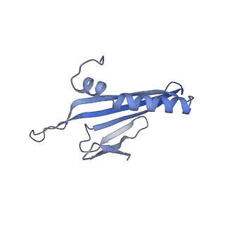 41632_8tux_M1_v1-0
Capsid of mature PP7 virion with 3'end region of PP7 genomic RNA