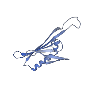 41632_8tux_M2_v1-0
Capsid of mature PP7 virion with 3'end region of PP7 genomic RNA