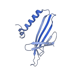 41632_8tux_N1_v1-0
Capsid of mature PP7 virion with 3'end region of PP7 genomic RNA