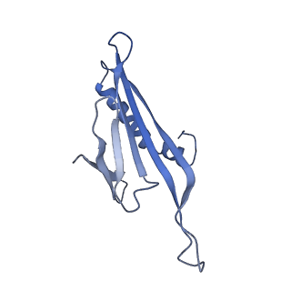 41632_8tux_O1_v1-0
Capsid of mature PP7 virion with 3'end region of PP7 genomic RNA