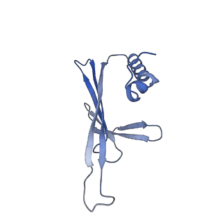 41632_8tux_O2_v1-0
Capsid of mature PP7 virion with 3'end region of PP7 genomic RNA