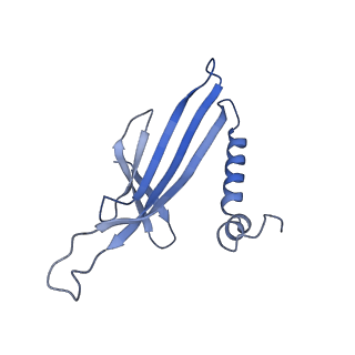 41632_8tux_P1_v1-0
Capsid of mature PP7 virion with 3'end region of PP7 genomic RNA