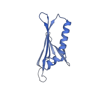 41632_8tux_P2_v1-0
Capsid of mature PP7 virion with 3'end region of PP7 genomic RNA