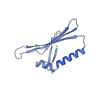 41632_8tux_Q1_v1-0
Capsid of mature PP7 virion with 3'end region of PP7 genomic RNA