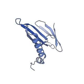 41632_8tux_Q2_v1-0
Capsid of mature PP7 virion with 3'end region of PP7 genomic RNA