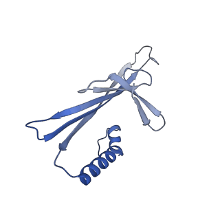 41632_8tux_R2_v1-0
Capsid of mature PP7 virion with 3'end region of PP7 genomic RNA