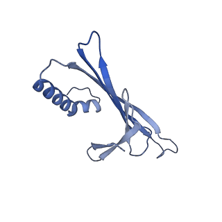 41632_8tux_S1_v1-0
Capsid of mature PP7 virion with 3'end region of PP7 genomic RNA