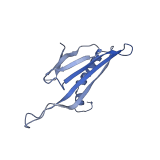 41632_8tux_T1_v1-0
Capsid of mature PP7 virion with 3'end region of PP7 genomic RNA