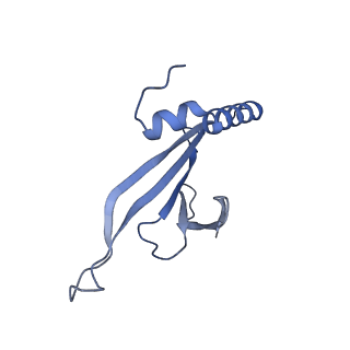 41632_8tux_T2_v1-0
Capsid of mature PP7 virion with 3'end region of PP7 genomic RNA