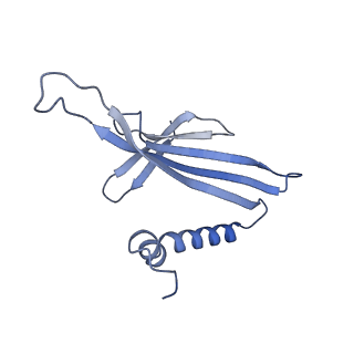 41632_8tux_U1_v1-0
Capsid of mature PP7 virion with 3'end region of PP7 genomic RNA