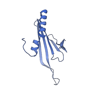 41632_8tux_U2_v1-0
Capsid of mature PP7 virion with 3'end region of PP7 genomic RNA