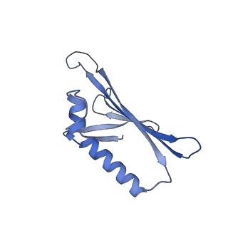 41632_8tux_V1_v1-0
Capsid of mature PP7 virion with 3'end region of PP7 genomic RNA