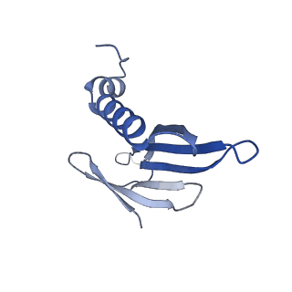 41632_8tux_W1_v1-0
Capsid of mature PP7 virion with 3'end region of PP7 genomic RNA