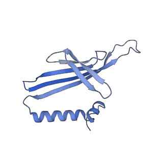 41632_8tux_W2_v1-0
Capsid of mature PP7 virion with 3'end region of PP7 genomic RNA