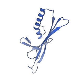 41632_8tux_X1_v1-0
Capsid of mature PP7 virion with 3'end region of PP7 genomic RNA