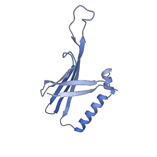 41632_8tux_X2_v1-0
Capsid of mature PP7 virion with 3'end region of PP7 genomic RNA