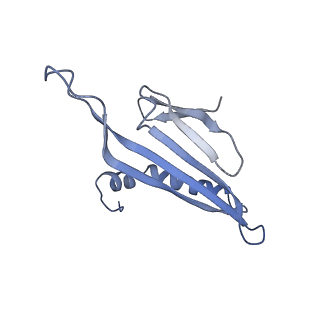 41632_8tux_Y1_v1-0
Capsid of mature PP7 virion with 3'end region of PP7 genomic RNA