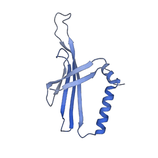 41632_8tux_Y2_v1-0
Capsid of mature PP7 virion with 3'end region of PP7 genomic RNA