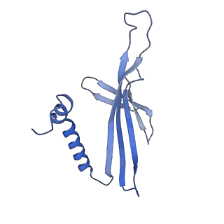 41632_8tux_Z1_v1-0
Capsid of mature PP7 virion with 3'end region of PP7 genomic RNA