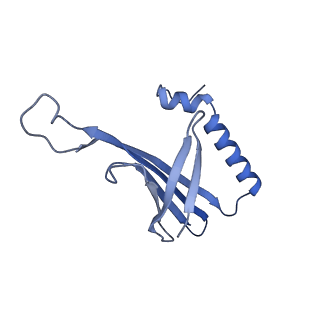 41632_8tux_Z2_v1-0
Capsid of mature PP7 virion with 3'end region of PP7 genomic RNA