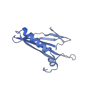 41632_8tux_a1_v1-0
Capsid of mature PP7 virion with 3'end region of PP7 genomic RNA