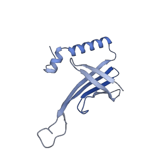 41632_8tux_aa_v1-0
Capsid of mature PP7 virion with 3'end region of PP7 genomic RNA