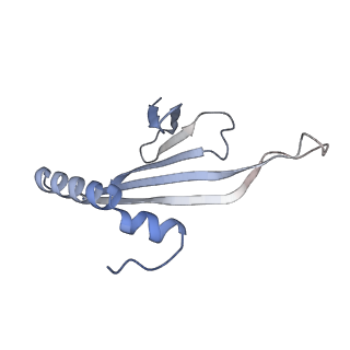 41632_8tux_ab_v1-0
Capsid of mature PP7 virion with 3'end region of PP7 genomic RNA