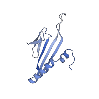 41632_8tux_ac_v1-0
Capsid of mature PP7 virion with 3'end region of PP7 genomic RNA