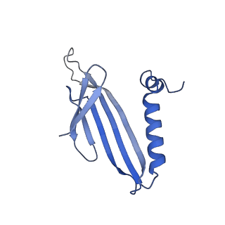 41632_8tux_ad_v1-0
Capsid of mature PP7 virion with 3'end region of PP7 genomic RNA