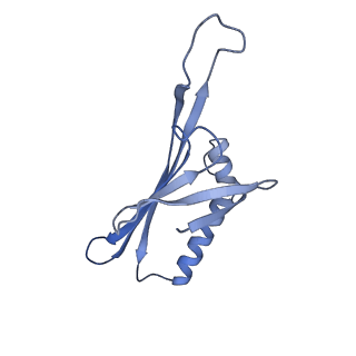 41632_8tux_c1_v1-0
Capsid of mature PP7 virion with 3'end region of PP7 genomic RNA