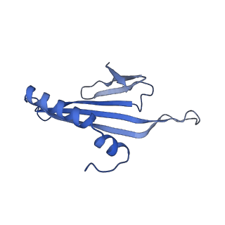 41632_8tux_c2_v1-0
Capsid of mature PP7 virion with 3'end region of PP7 genomic RNA