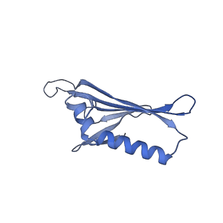 41632_8tux_e2_v1-0
Capsid of mature PP7 virion with 3'end region of PP7 genomic RNA