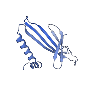 41632_8tux_f1_v1-0
Capsid of mature PP7 virion with 3'end region of PP7 genomic RNA