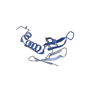 41632_8tux_f2_v1-0
Capsid of mature PP7 virion with 3'end region of PP7 genomic RNA