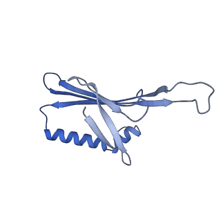 41632_8tux_g1_v1-0
Capsid of mature PP7 virion with 3'end region of PP7 genomic RNA