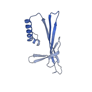 41632_8tux_g2_v1-0
Capsid of mature PP7 virion with 3'end region of PP7 genomic RNA